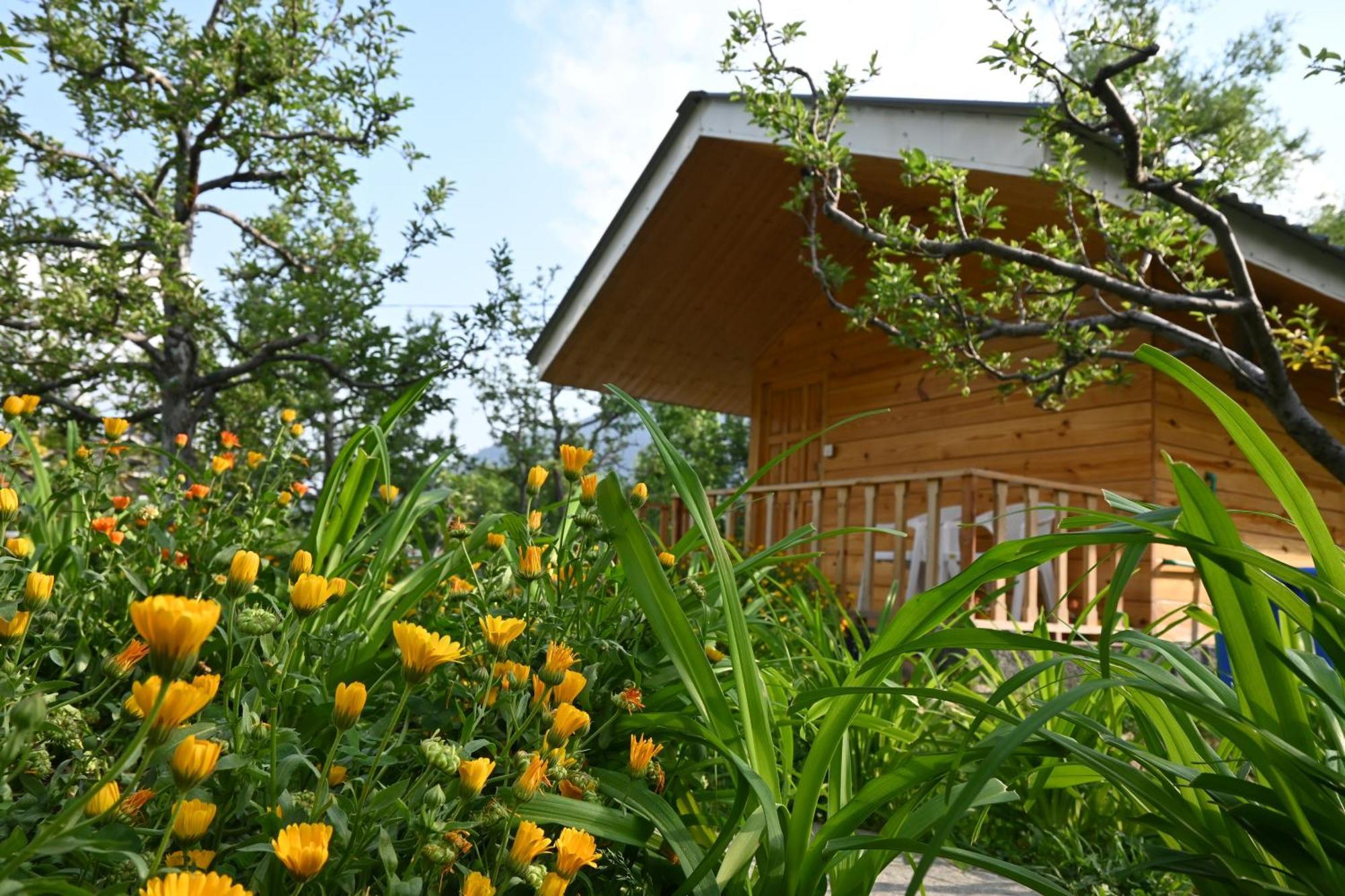 Cascade Mountain Retreat Manali Bed and Breakfast Exteriör bild