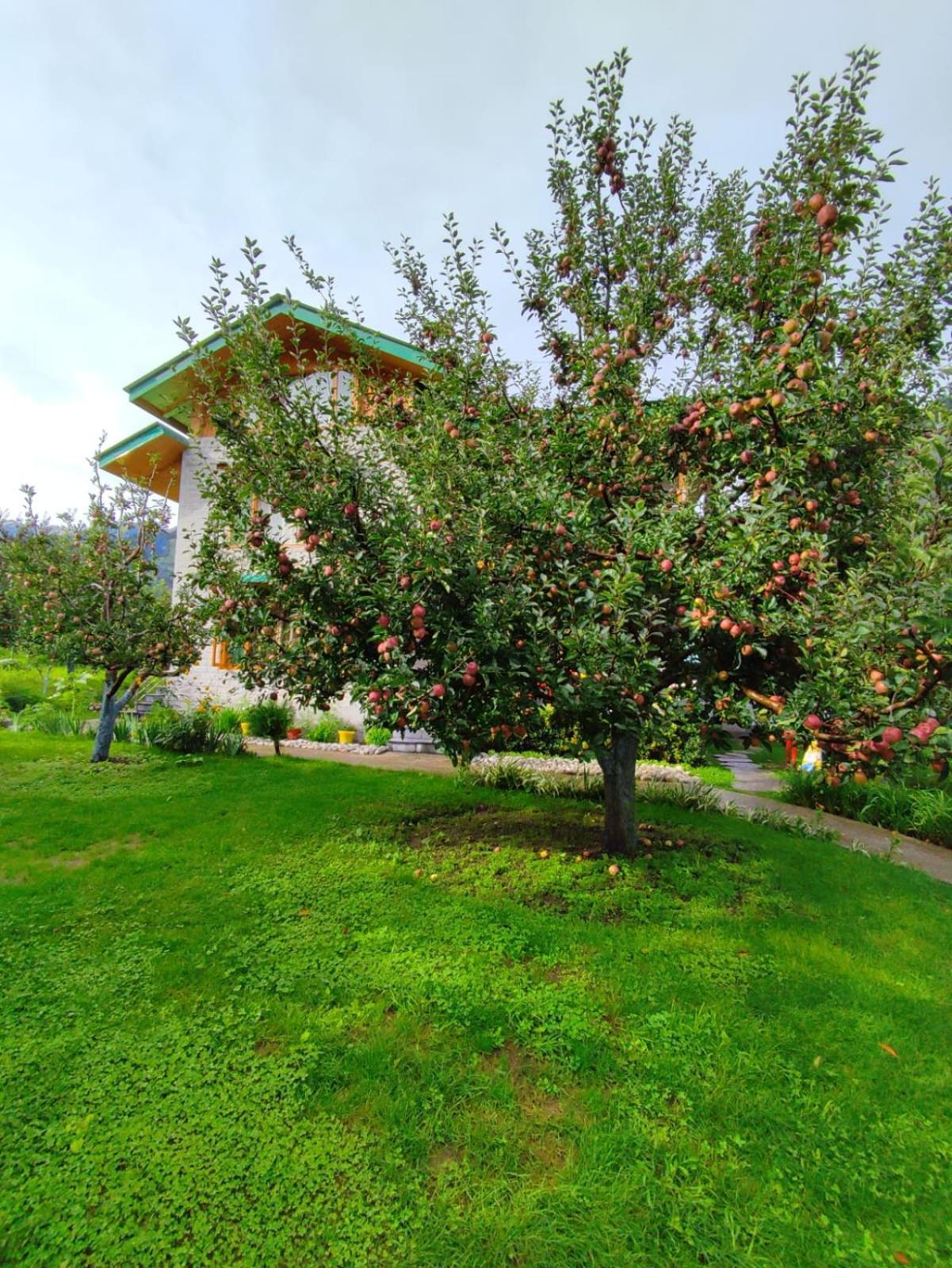 Cascade Mountain Retreat Manali Bed and Breakfast Exteriör bild