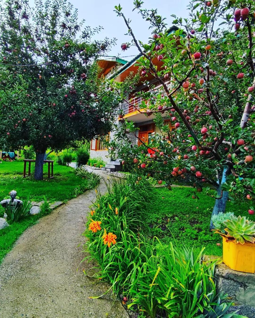 Cascade Mountain Retreat Manali Bed and Breakfast Exteriör bild